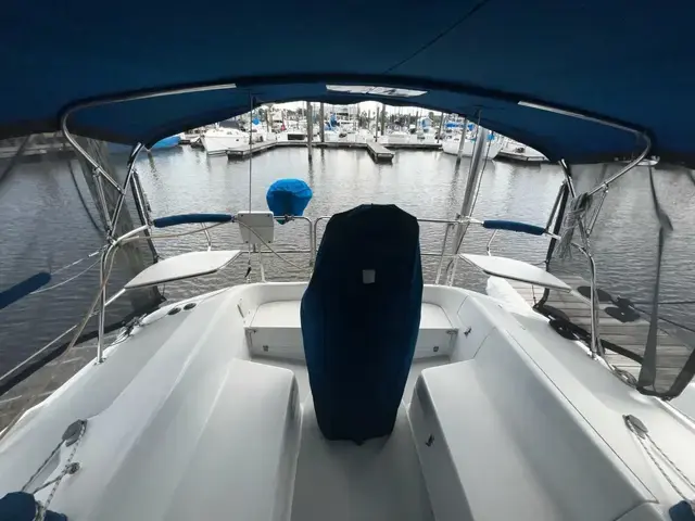 Catalina 320