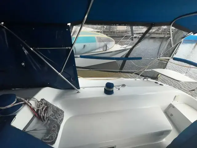 Catalina 320