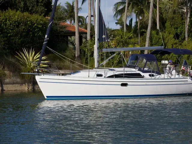 Catalina 316