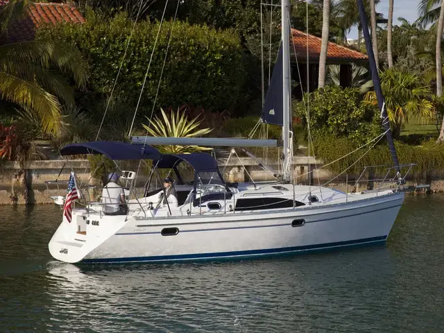 Catalina 316