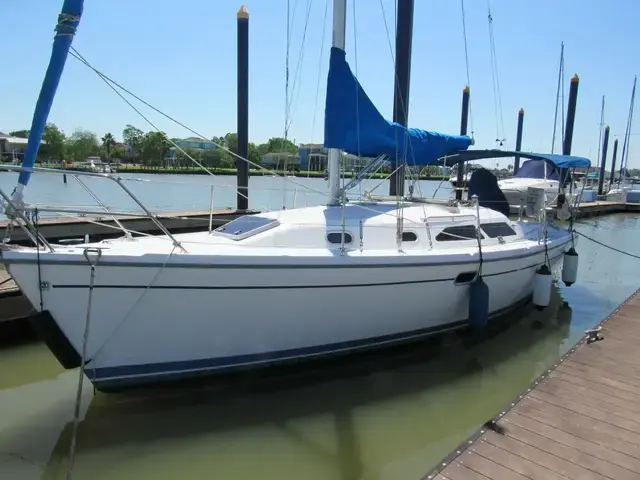 Catalina 31