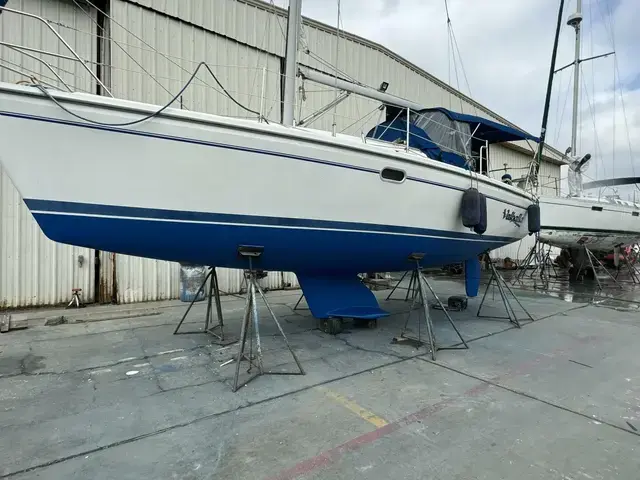 Catalina 31