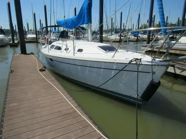 Catalina 31