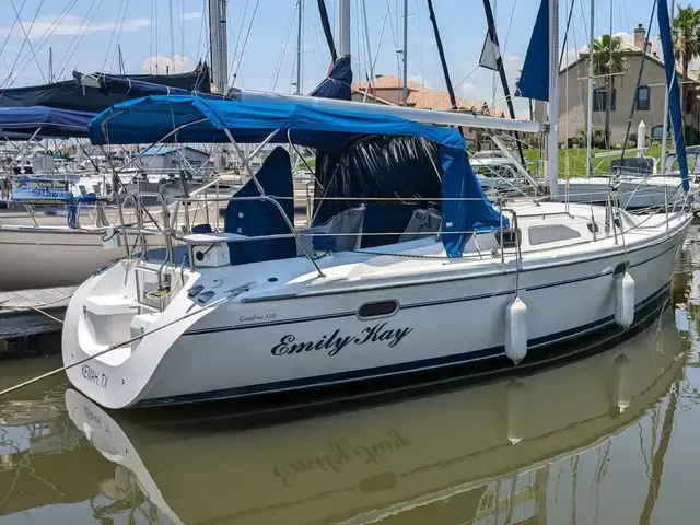 Catalina 310