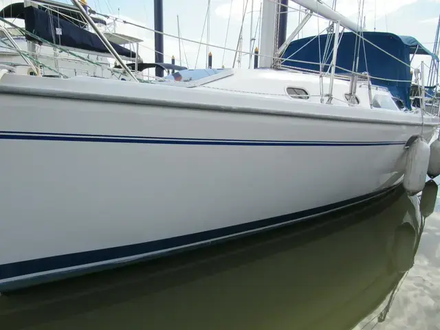 Catalina 310