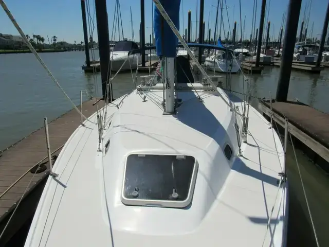 Catalina 31