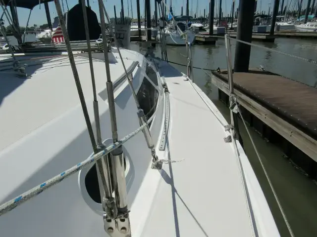 Catalina 31