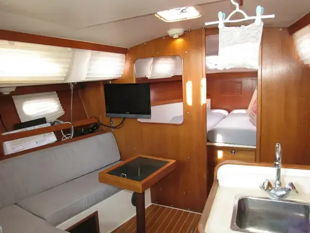 Catalina 310