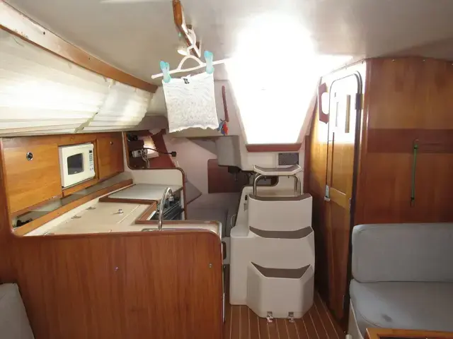 Catalina 310