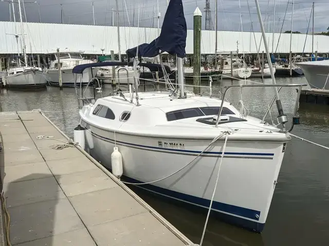 Catalina 25