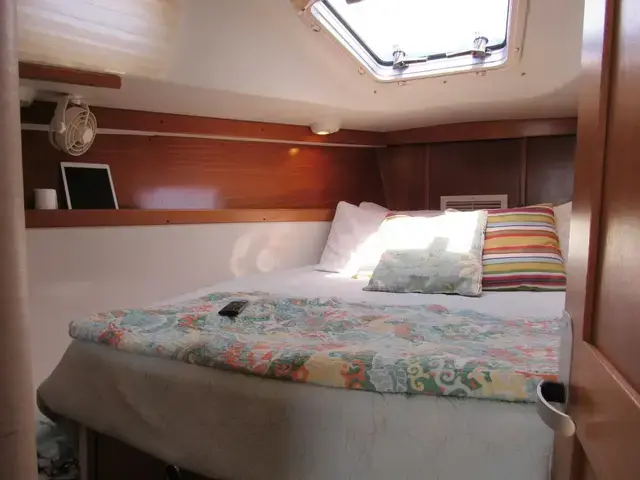 Catalina 31