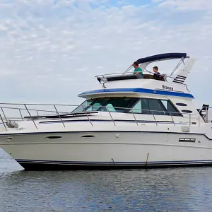 1989 Sea Ray 415 Aft Cabin