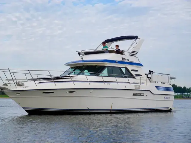 Sea Ray 415 Aft Cabin