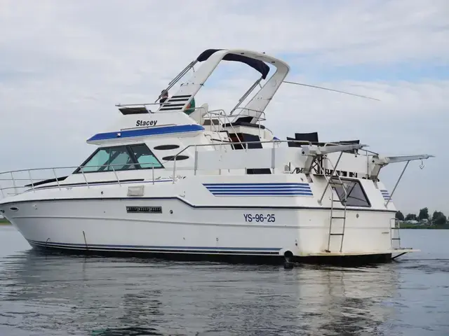 Sea Ray 415 Aft Cabin