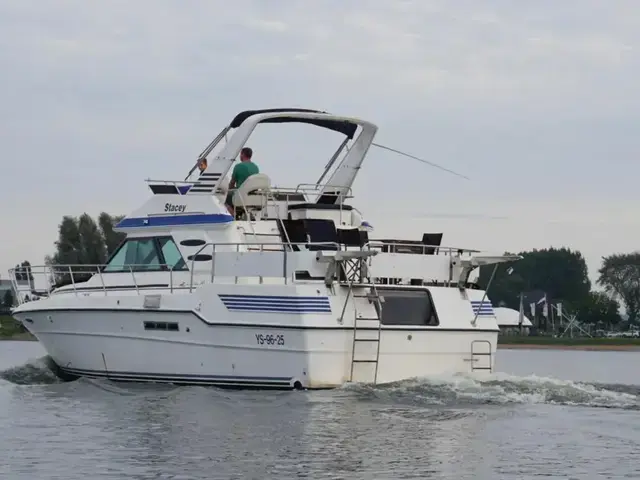 Sea Ray 415 Aft Cabin