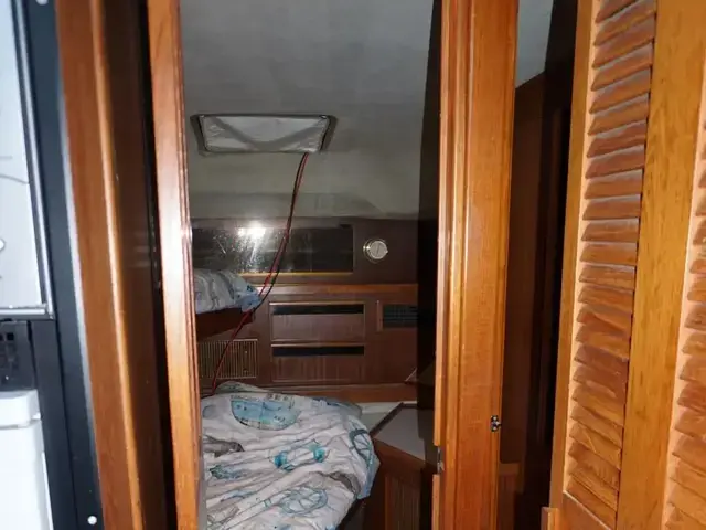 Sea Ray 415 Aft Cabin