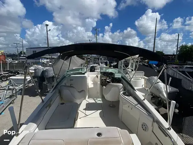 Sea Ray 260 Sundeck