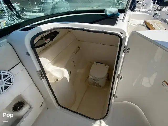 Sea Ray 260 Sundeck