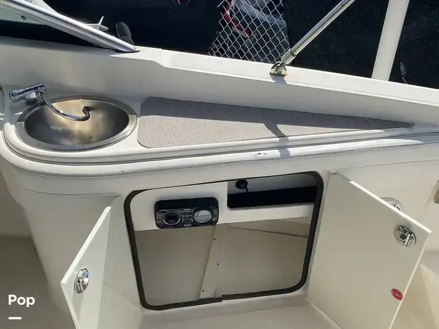 Sea Ray 260 Sundeck