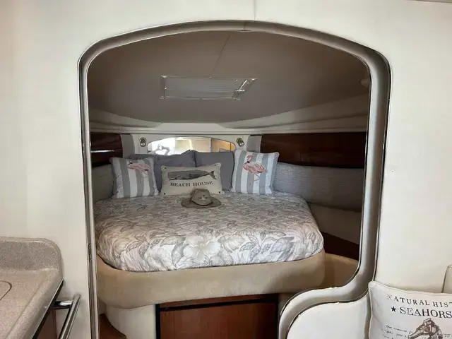 Sea Ray Sundancer 360