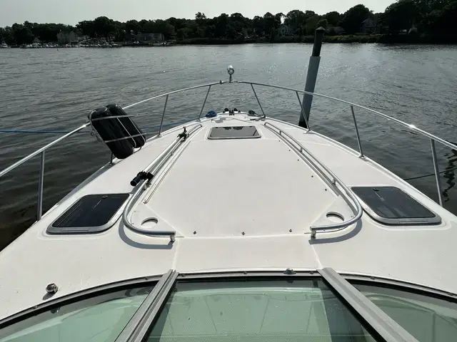 Chaparral 310 Signature