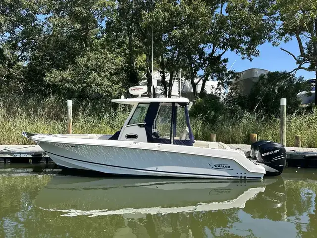 Boston Whaler 250 Outrage