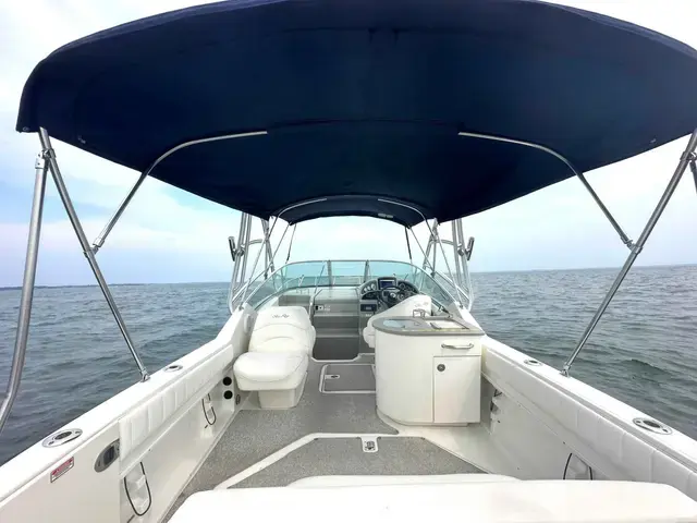 Sea Ray 270 Amberjack