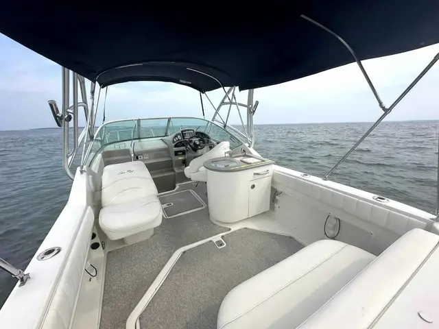 Sea Ray 270 Amberjack