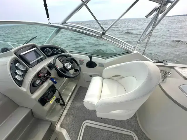 Sea Ray 270 Amberjack