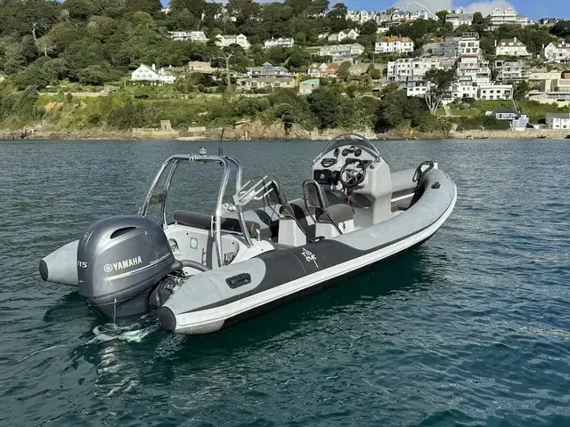 Ribeye 550