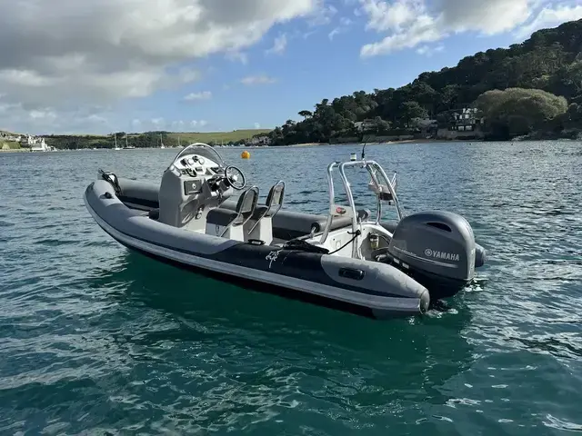 Ribeye 550