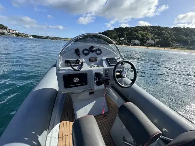 Ribeye 550