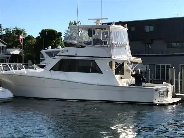 Viking 45'