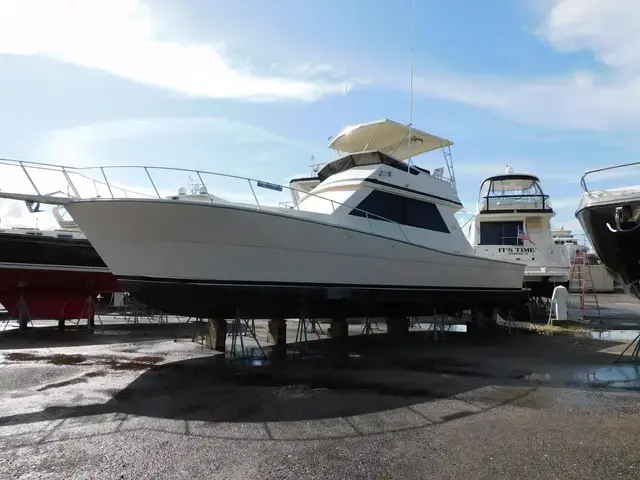 Viking 45'