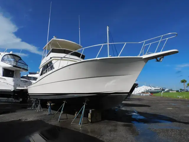 Viking 45'