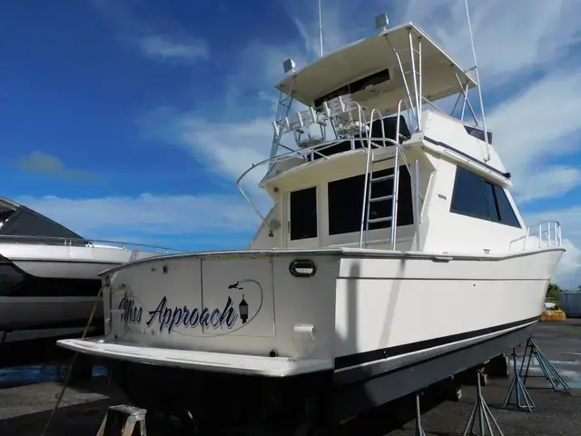 Viking 45'