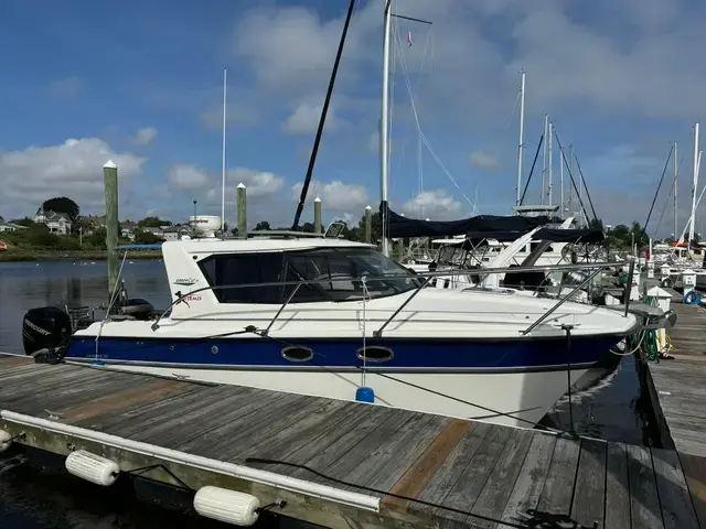 Arrowcat 32'