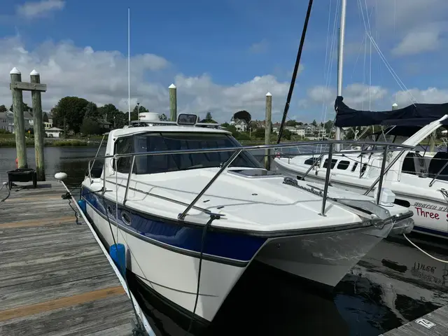 Arrowcat 32'