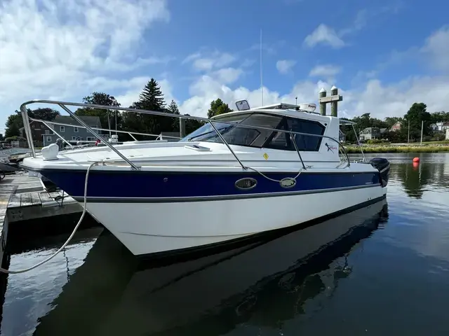 Arrowcat 32'