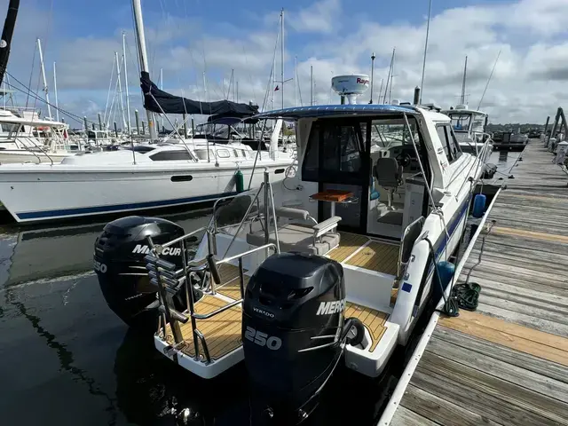 Arrowcat 32'