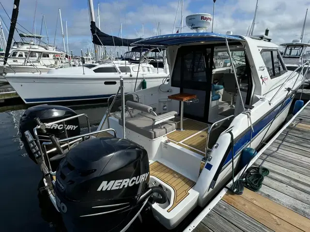 Arrowcat 32'