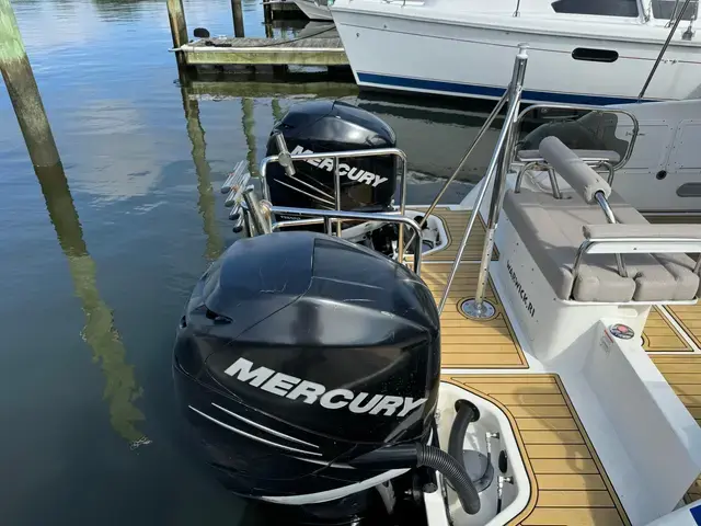 Arrowcat 32'