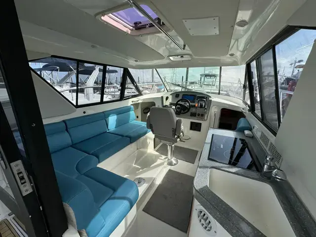 Arrowcat 32'