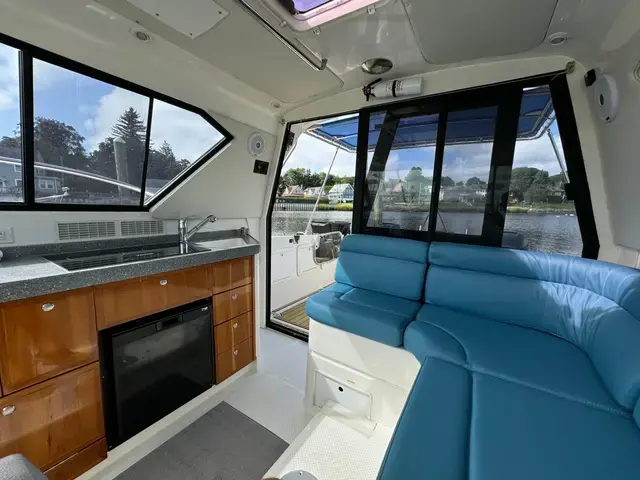 Arrowcat 32'