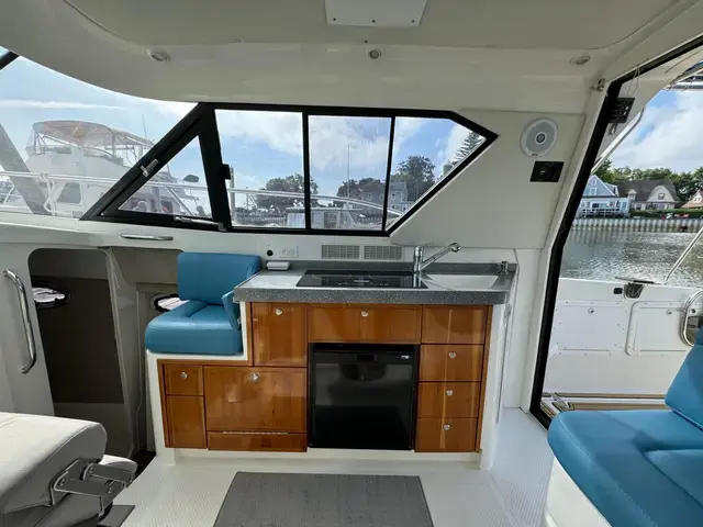 Arrowcat 32'