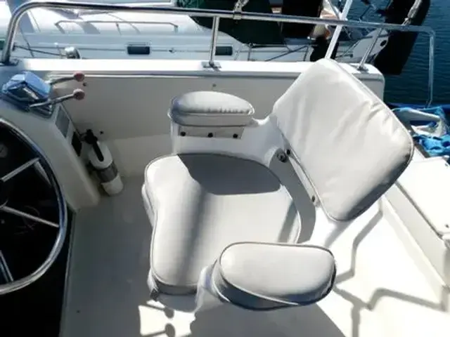 Cruisers Yachts 2980 Esprit