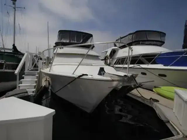 Ocean Alexander Cockpit Motor Yacht