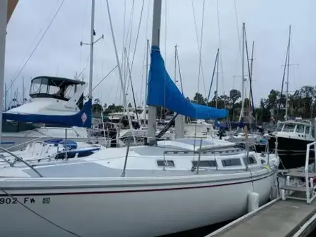 Catalina Sloop