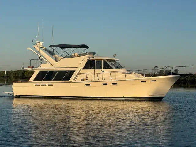 Bayliner Pilothouse