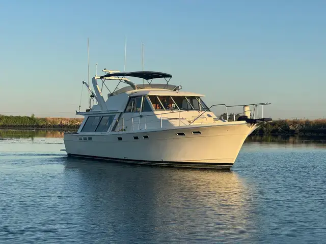 Bayliner Pilothouse